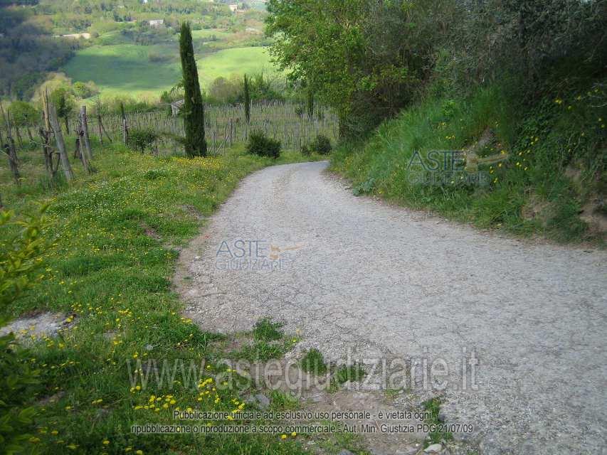 Fotografia del bene